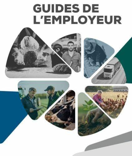 guides de l'employeur, conseil en droit social, cerfrance