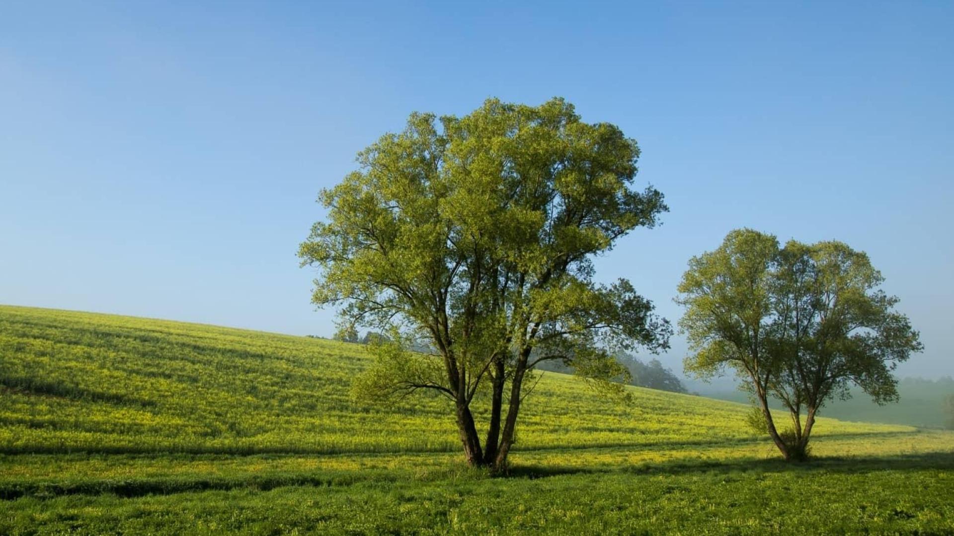 Notre engagement RSE chez Cerfrance Mayenne-Sarthe