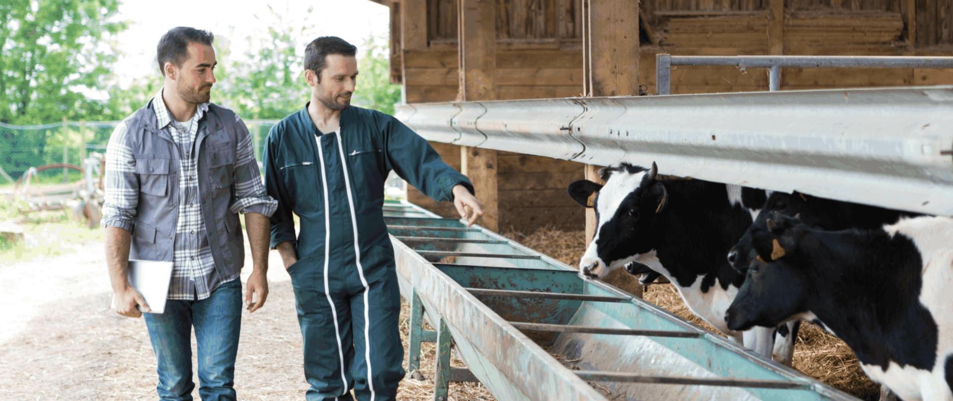 PRIMA, évolution service pour exploitants agricoles - Cerfrance Mayenne-Sarthe