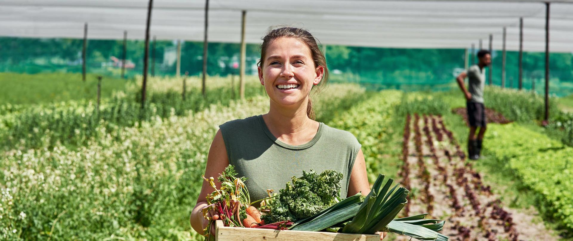 PRIMA, évolution service pour sociétés patrimoniales et activités de loueurs - Cerfrance Mayenne-Sarthe
