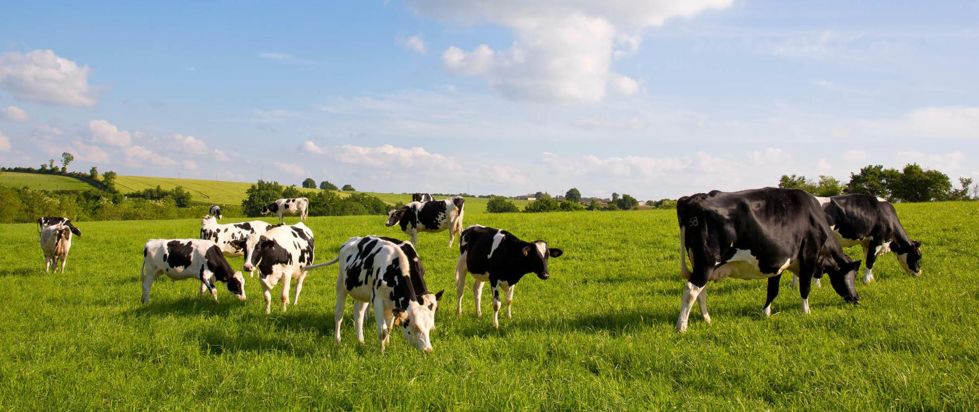 Témoignage client Cerfrance Mayenne-Sarthe : Repenser son modèle agricole en famille