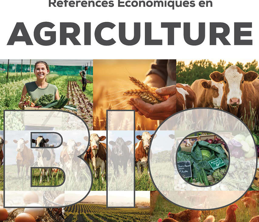 étude économique régionale Cerfrance en agriculture biologique 2024