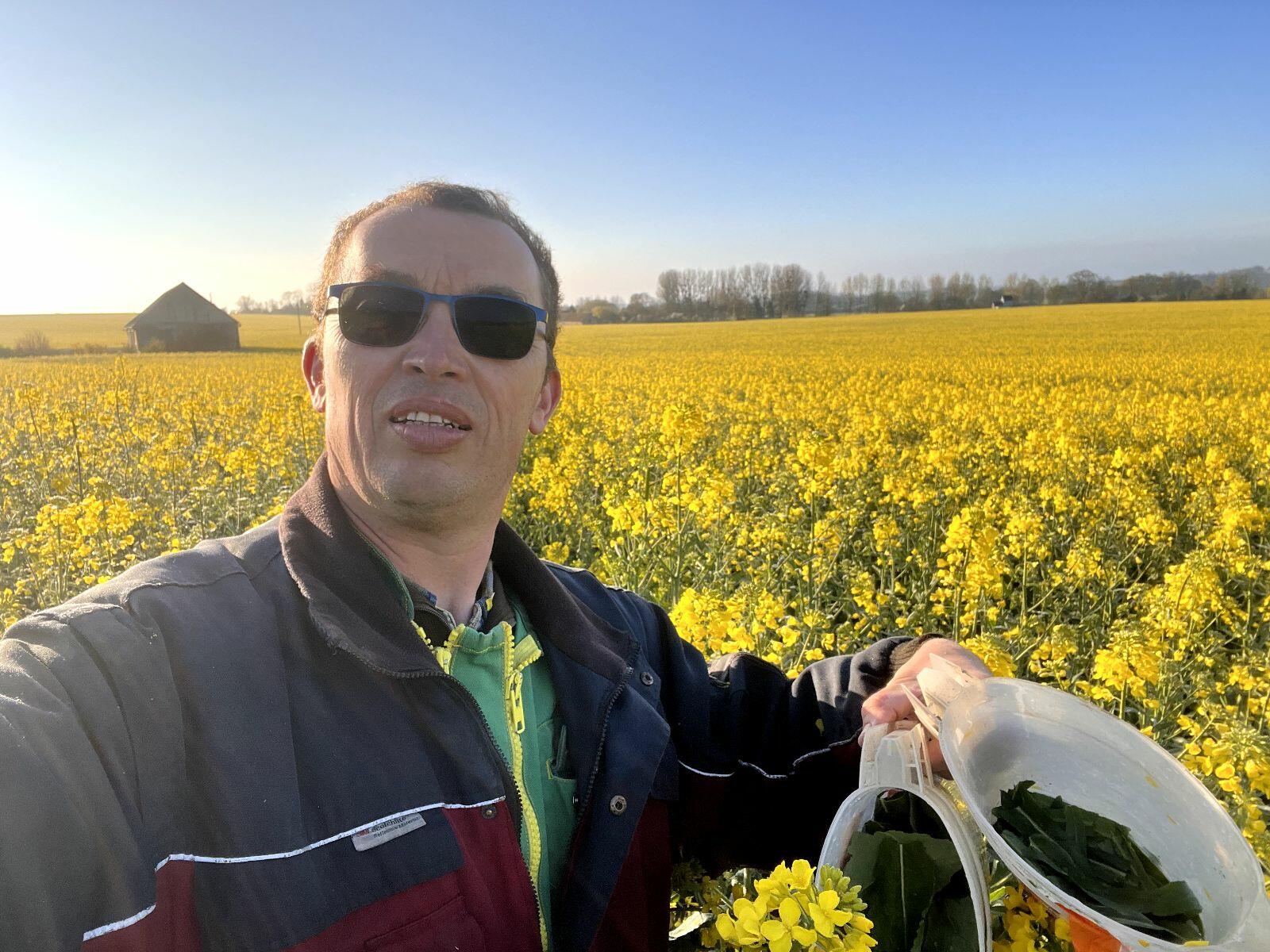 Témoignage client Cerfrance Mayenne-Sarthe : Nicolas, agriculteur engagé envers le "sol vivant"